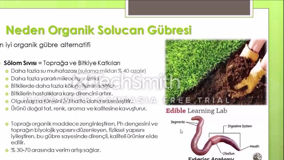 TrioWorm Solucan Gübresi