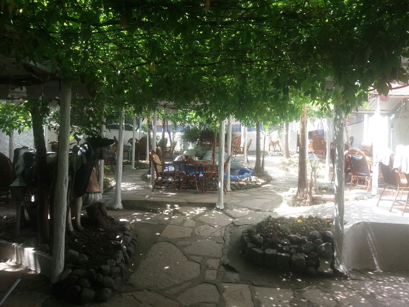 Konya Selçuklu Mutfağı-Çaycuma Şubesi